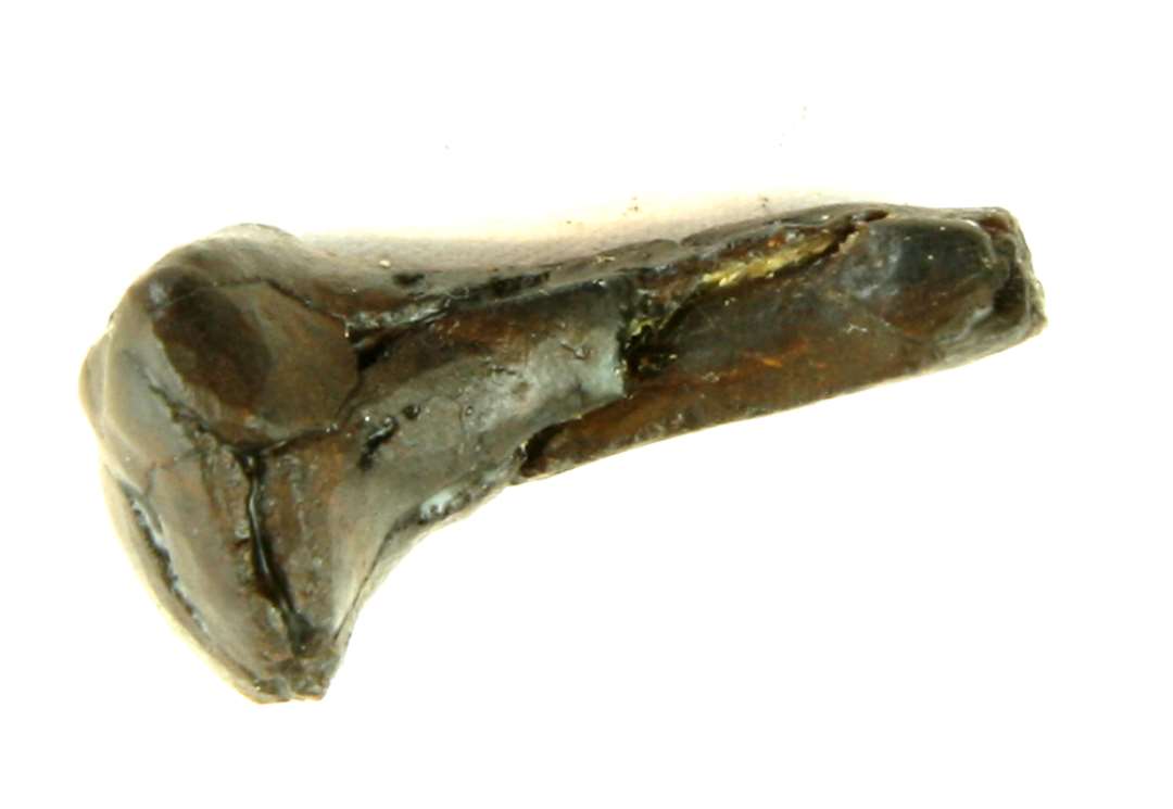 1 forrustet jerns�m, l�ngde 6,1 cm.