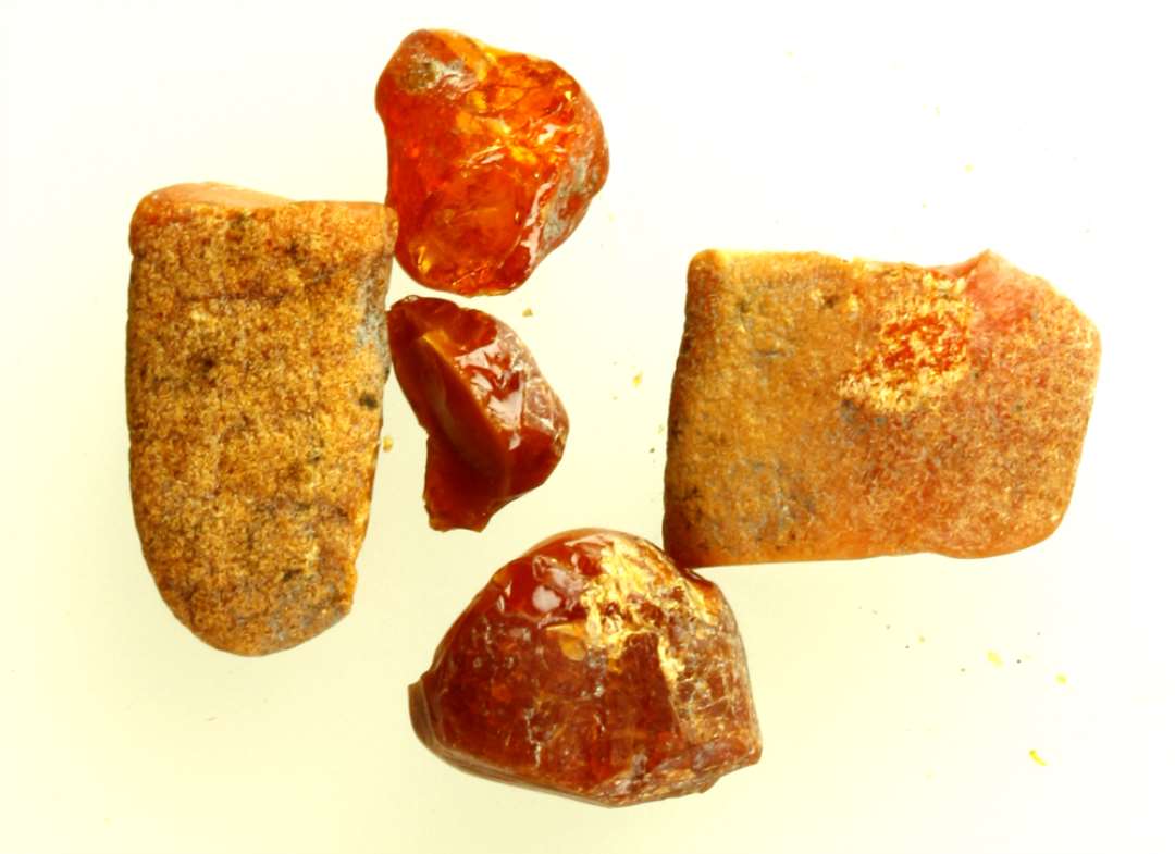 5 stumper uforarbejdet rav.