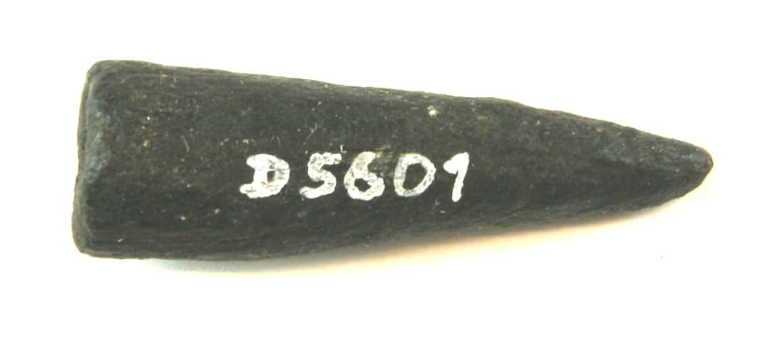 1 afsavet, forvitret grenspids af kronhjorttak. L�ngde: 5 cm.