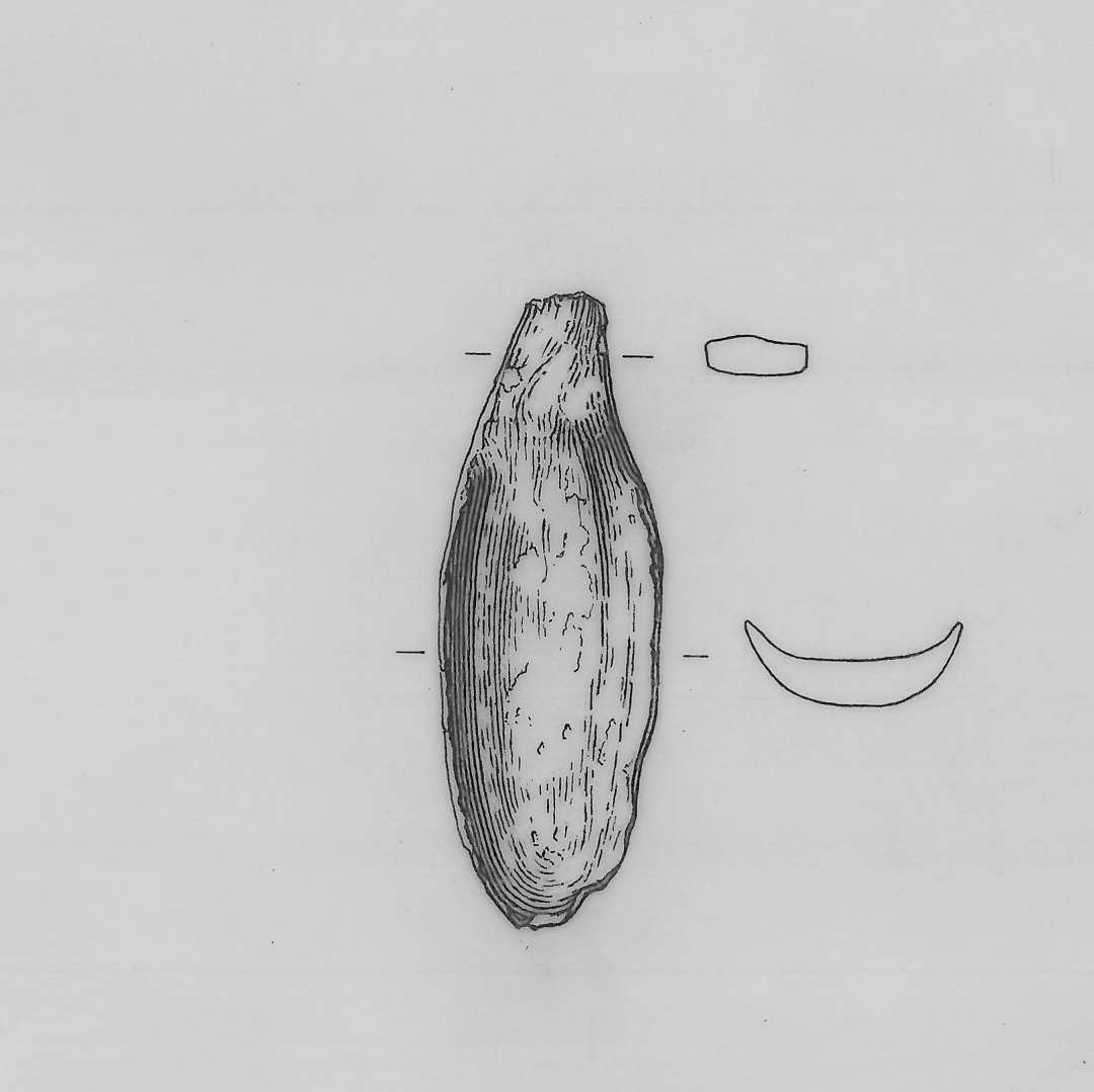 Blad fra skebor eller huljern. L�ngde : 6,1 cm.