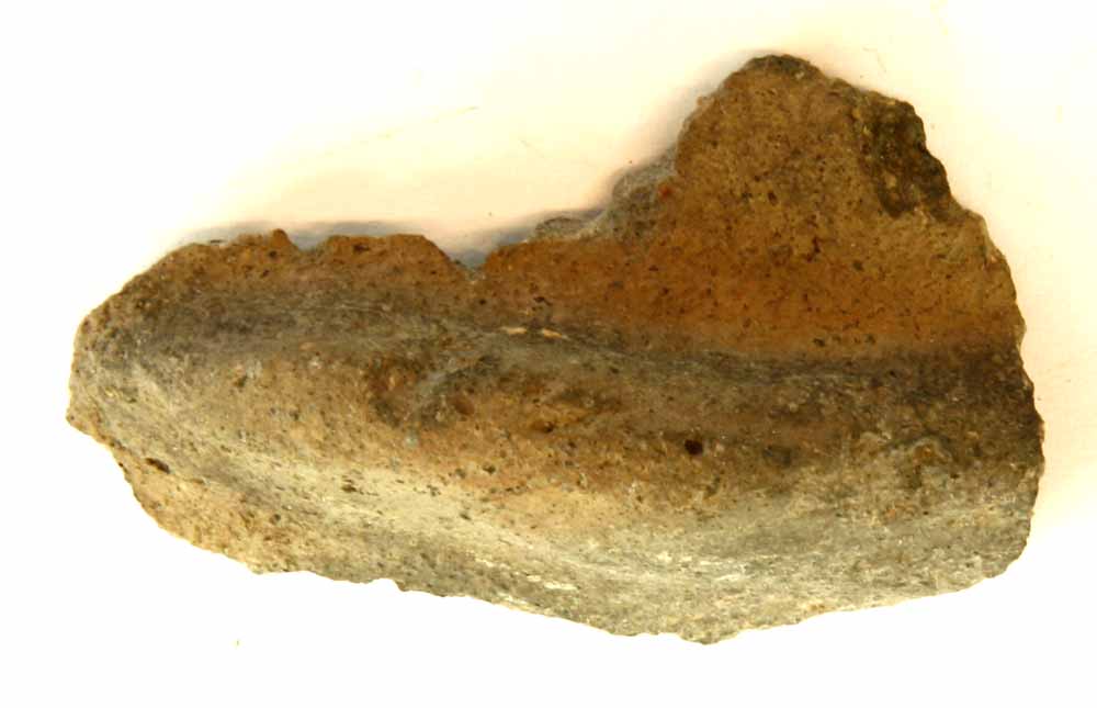 1 sidesk�r af gr�brunligt, grovmagret lergods med p�lagt let krummet, vulstfomet �re. L . ca. 6 cm. gruppe 4.