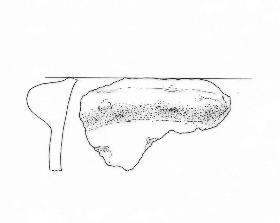 1 sidesk�r af gr�brunligt, grovmagret lergods med p�lagt let krummet, vulstfomet �re. L . ca. 6 cm. gruppe 4.