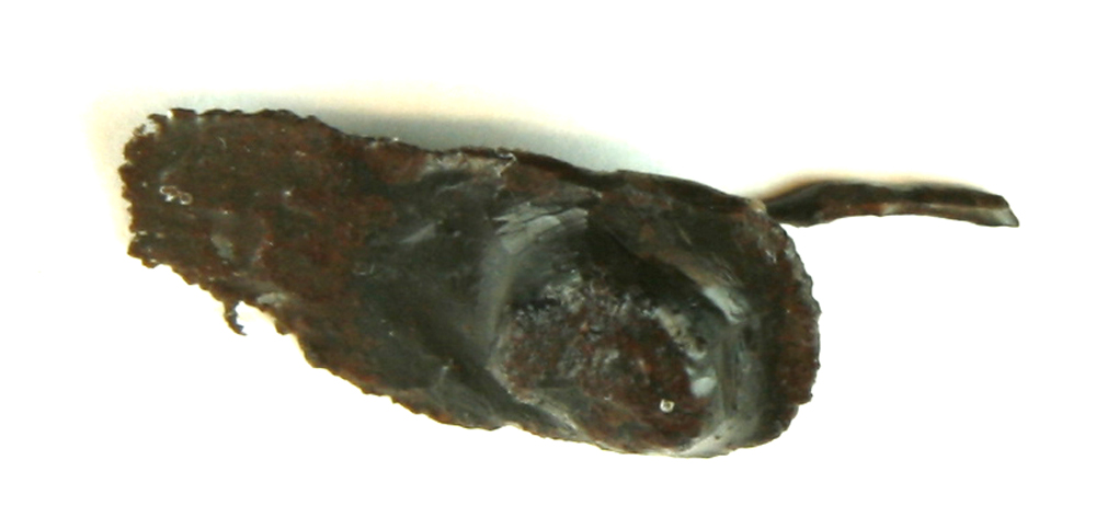 1 stk.jernbeslag med et isiddende b�jet jerns�m. Selve beslagets m�l ca. 2,9 x 1,35 cm.