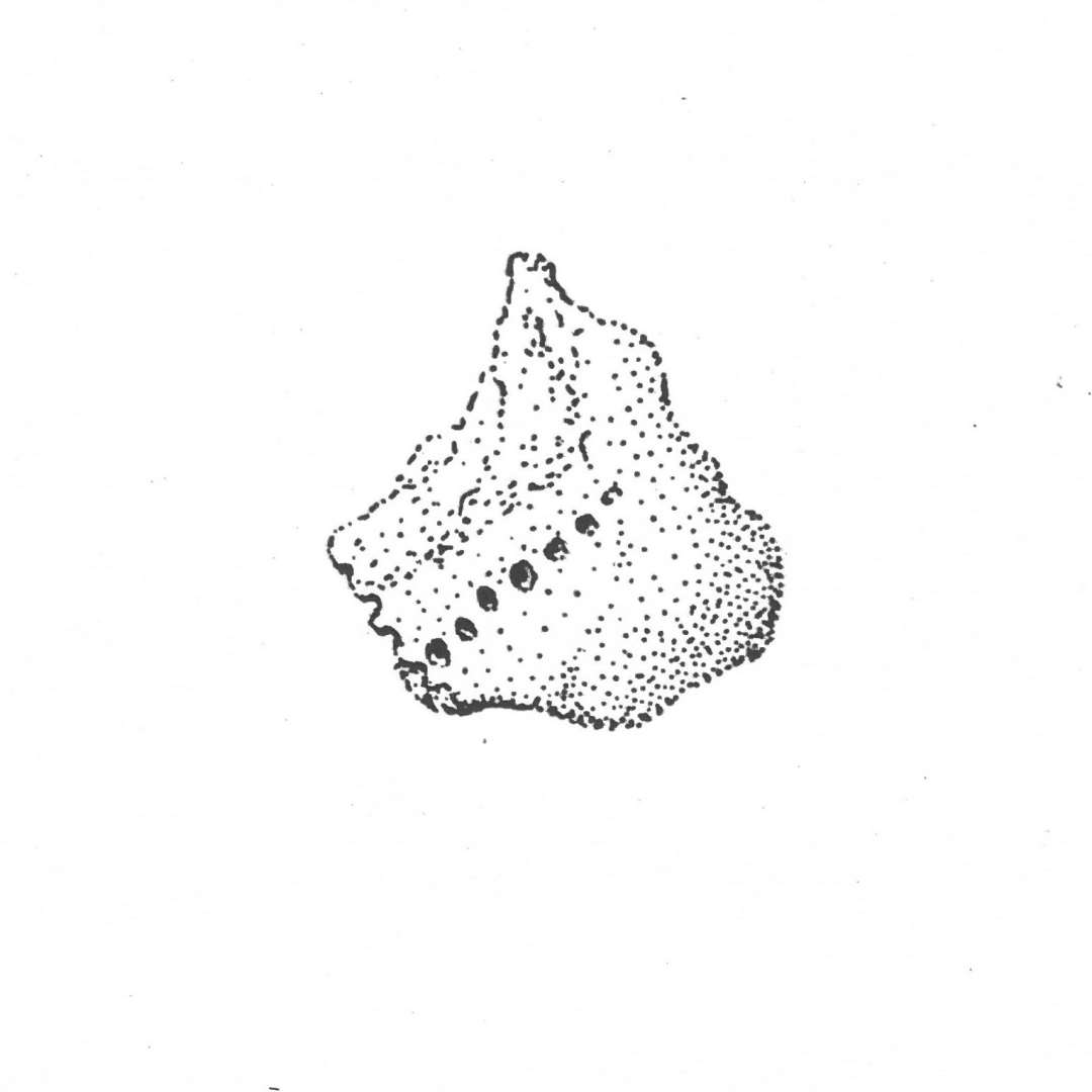 17 fragmenter af discosformede v�vev�gte af br�ndt lermasse. Et af fragmenterne udviser en r�kke t�t anbragte, dybt indprikkede, ganske sm� huller.