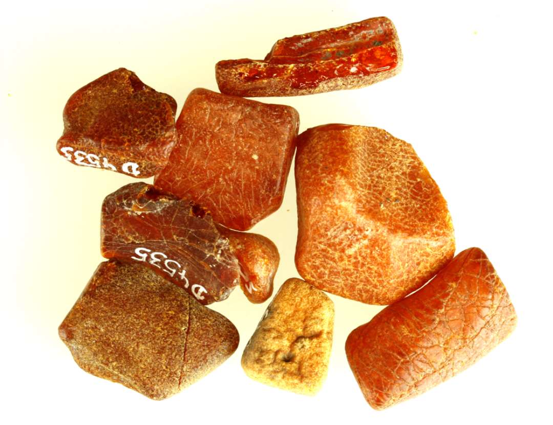 Ni uforarbejdede ravstykker.