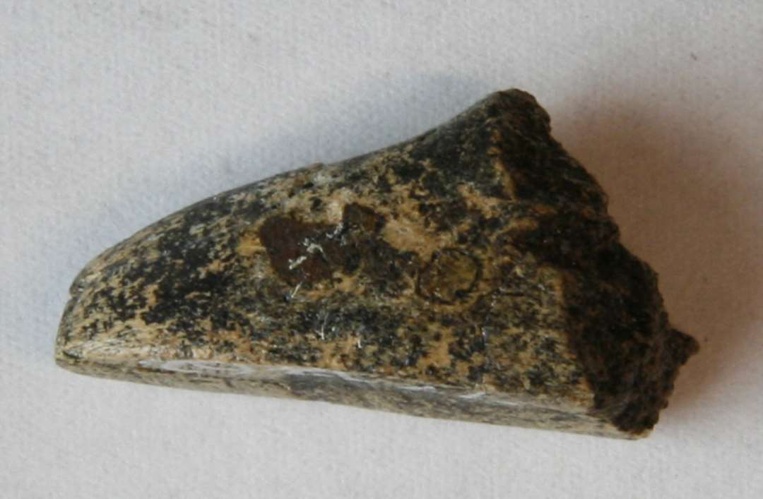 1 skol�stformet, fragmenteret genstand af hjortetak overbrudt i den brede ende. Stykket harn plan underside og i den spidse ende findes to lodrette indhak. Stykket er forsynet med to tv�rg�ende gennemboringer, hvori resten af forrustede jernnagler.�St. l�ngde: 2,5 cm.�Bredde:       1,3 cm.�H�jde:         1,3 cm.