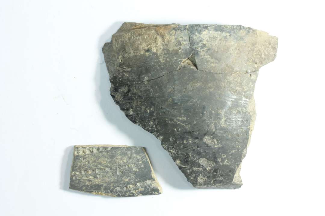 Bundsk�r, Tatinglignende. Limet sammen med to bugsk�r