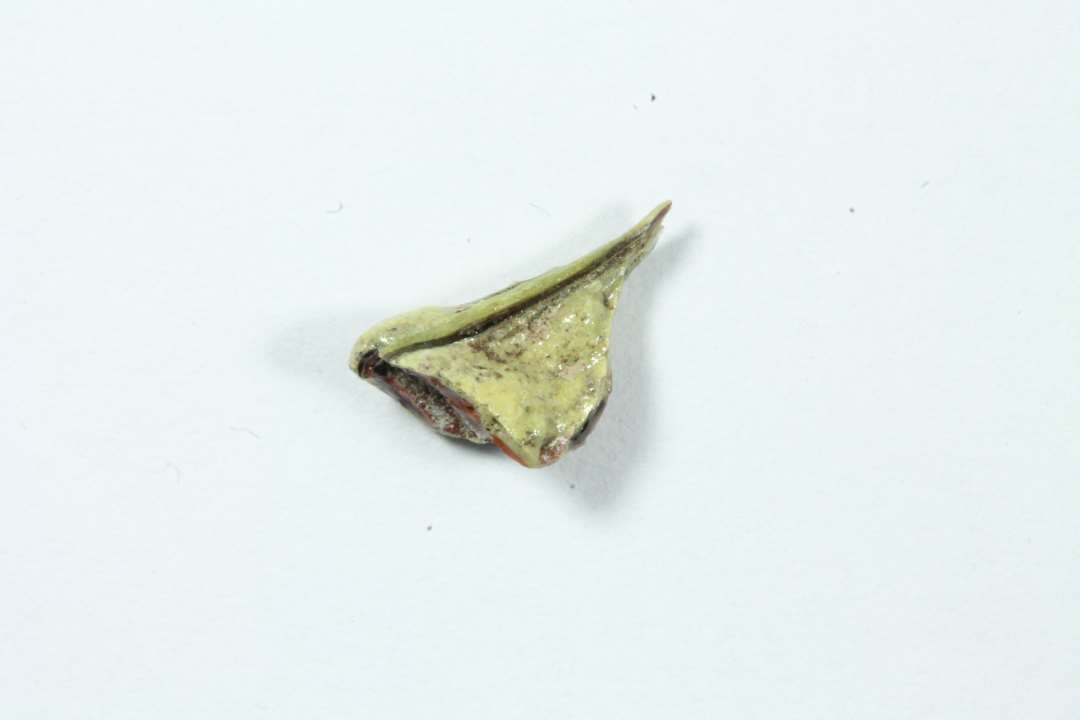 Tangaftryk, uigennemsigtig gul, r�d, bl�