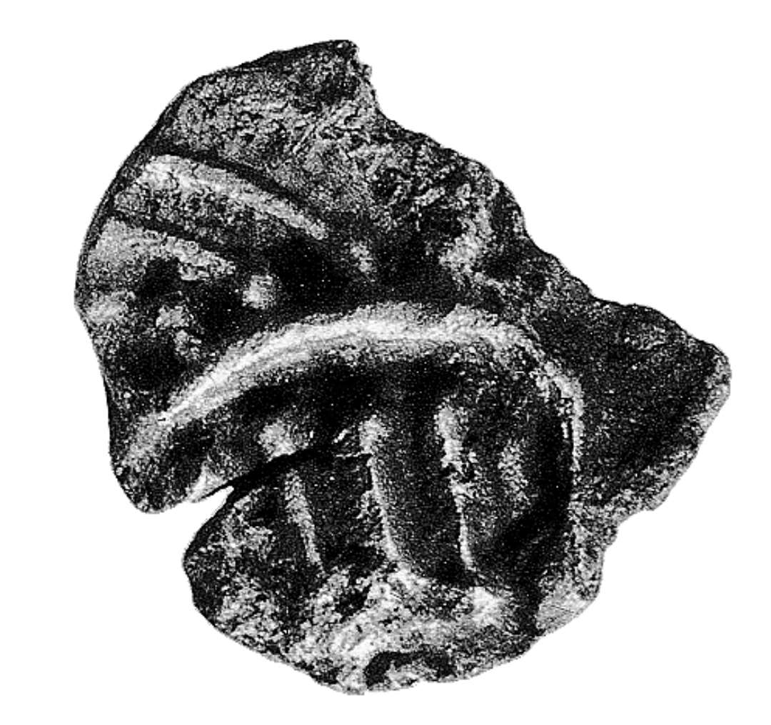 sceatta, Porcupine, m�ntnr. 5