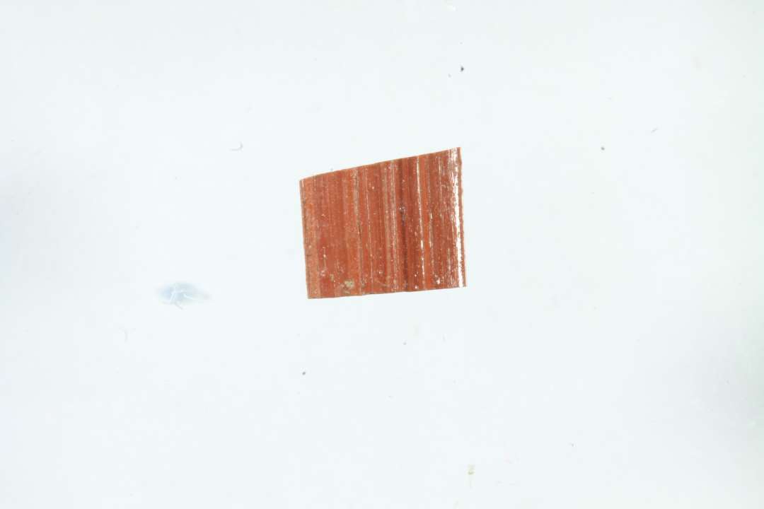 En stump bred, flad tr�d, uigennemsigtig r�d