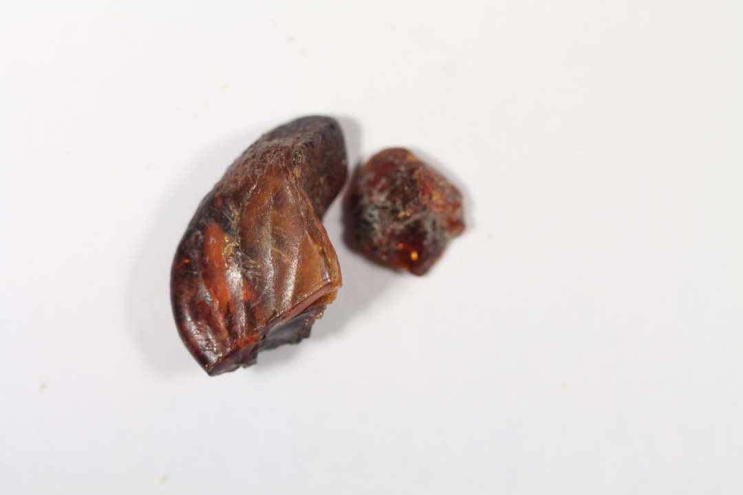 To stykker forkullet rav. �rte og hasseln�ddest�rrelse