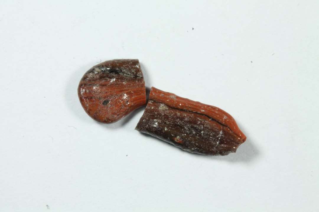 Tangaftryk, uigennemsigtig r�d. Sammenh�rende