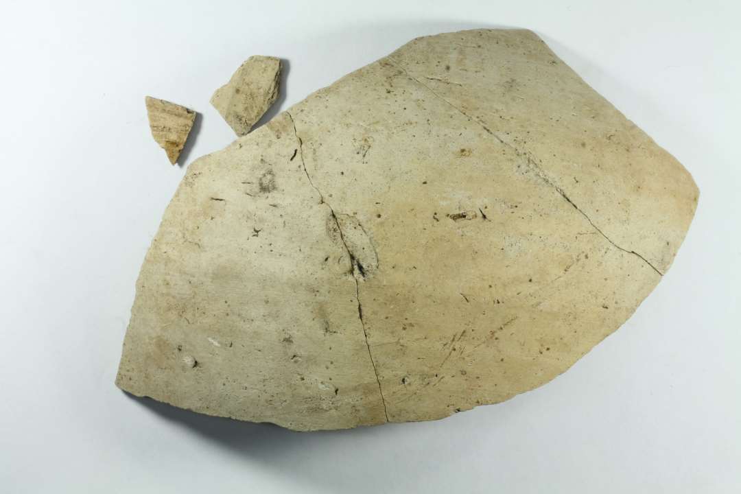 5 bugsk�r, Badorflignende. 3 store sl�r sammenlimede. 1 lille stykke med furer