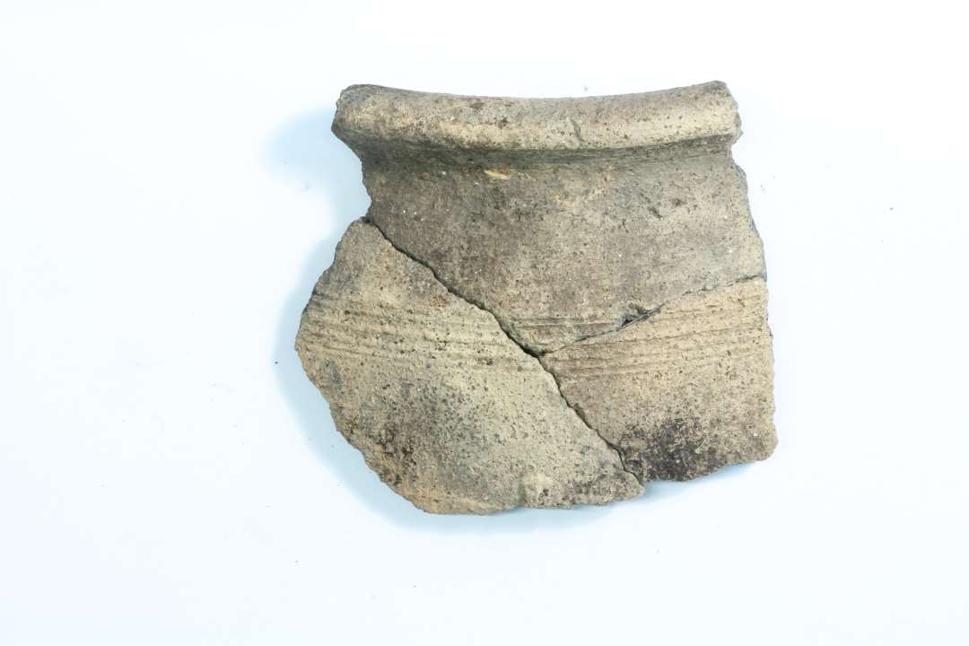 Fire randsk�r, heraf 3 stk. limet sammen, og et sammenlimet med to bugsk�r, x189. Sammenh�rende med randsk�r x218 og bugsk�r x189 og x218. 