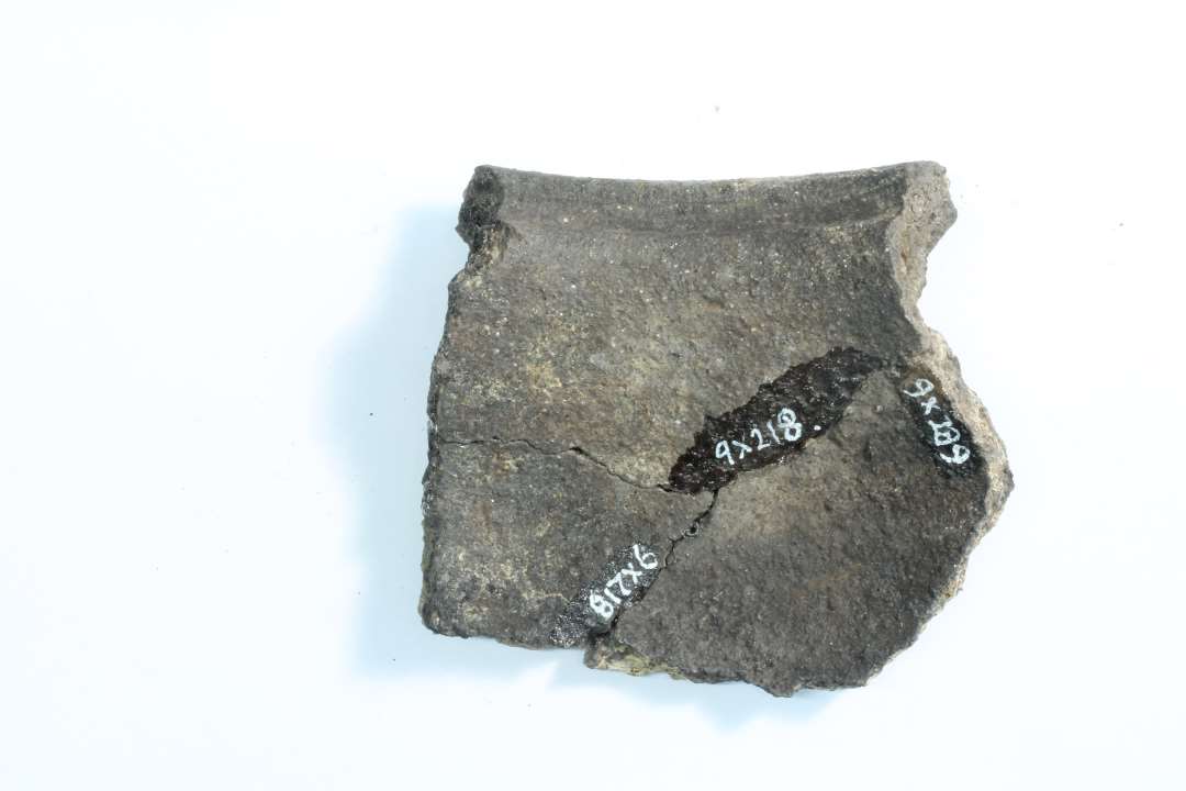 Fire randsk�r, heraf 3 stk. limet sammen, og et sammenlimet med to bugsk�r, x189. Sammenh�rende med randsk�r x218 og bugsk�r x189 og x218. 