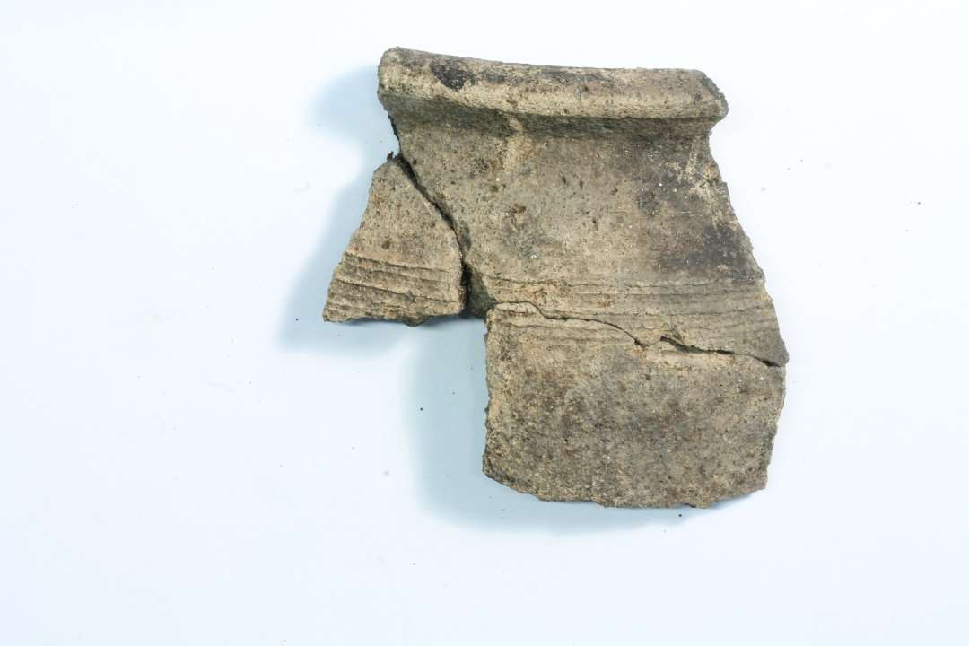 Fire randsk�r, heraf 3 stk. limet sammen, og et sammenlimet med to bugsk�r, x189. Sammenh�rende med randsk�r x218 og bugsk�r x189 og x218. 