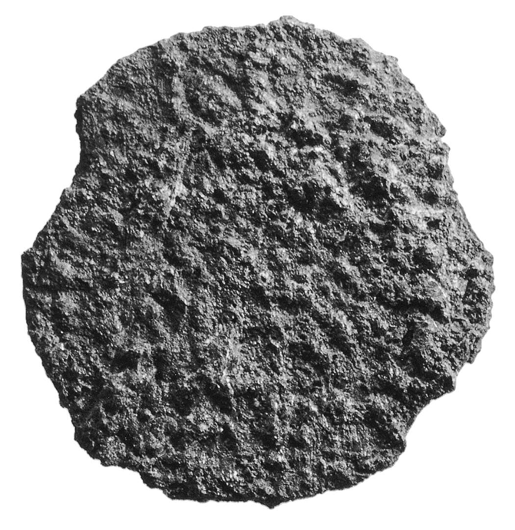 Penning, ansigt kan anes p� den ene side. Formodet ansigt/hjort, Malmer KG 4, 5, 6.   Ribe Studier 9.55