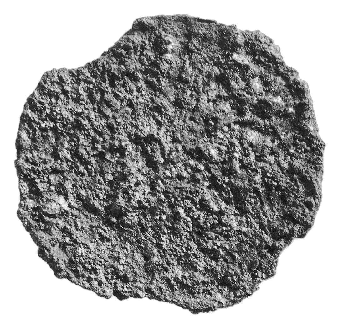 Penning, ansigt kan anes p� den ene side. Formodet ansigt/hjort, Malmer KG 4, 5, 6.   Ribe Studier 9.55