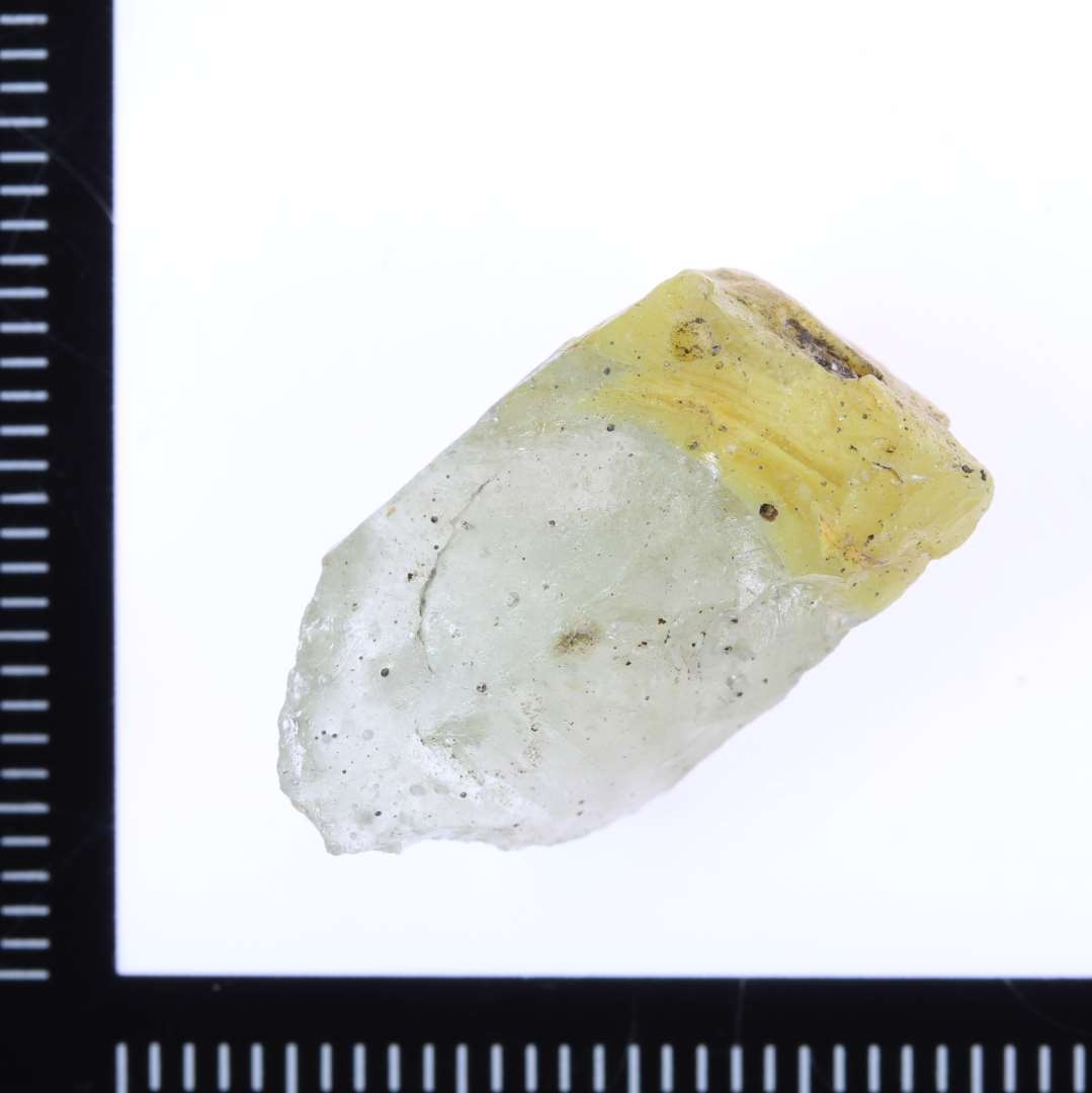 Tessera
Gennemsigtig
Klar
Den ene ende ugennemsigtig gul