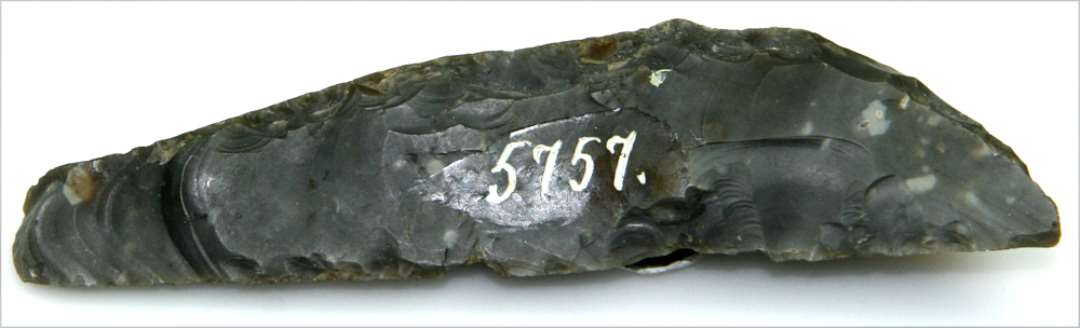 En Fl�kkekniv af Flint, 12� Cm. lang og 3 Cm. bred. Regelm�ssig Form med tyk Ryg, der l�ber rundt ud til Spidsen. Tildannet af en tyk Fl�kke, hvoraf Ryggen er udspaltet ved mindre Tilhugninger.
